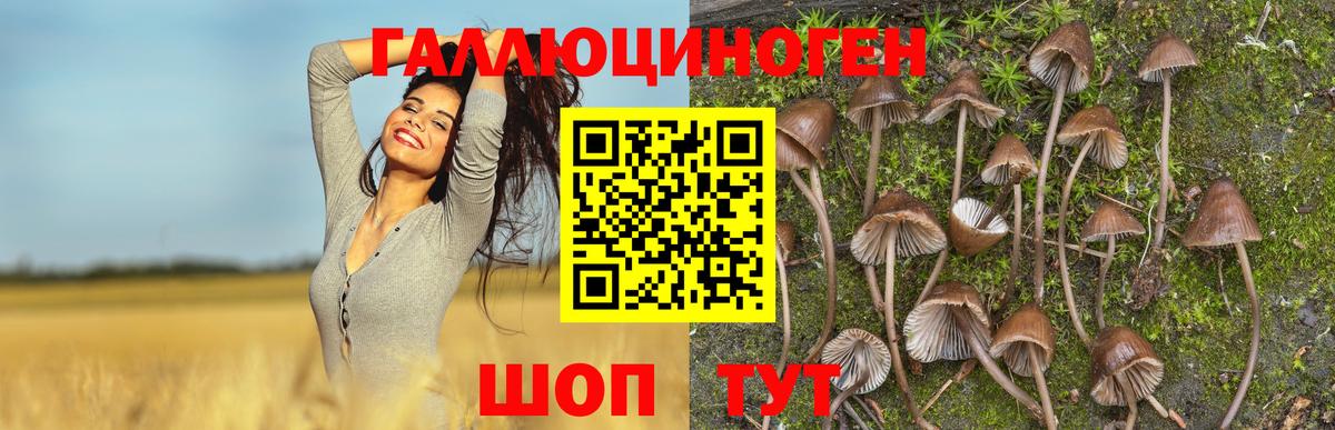 Галлюциногенные грибы MAGIC MUSHROOMS Черногорск