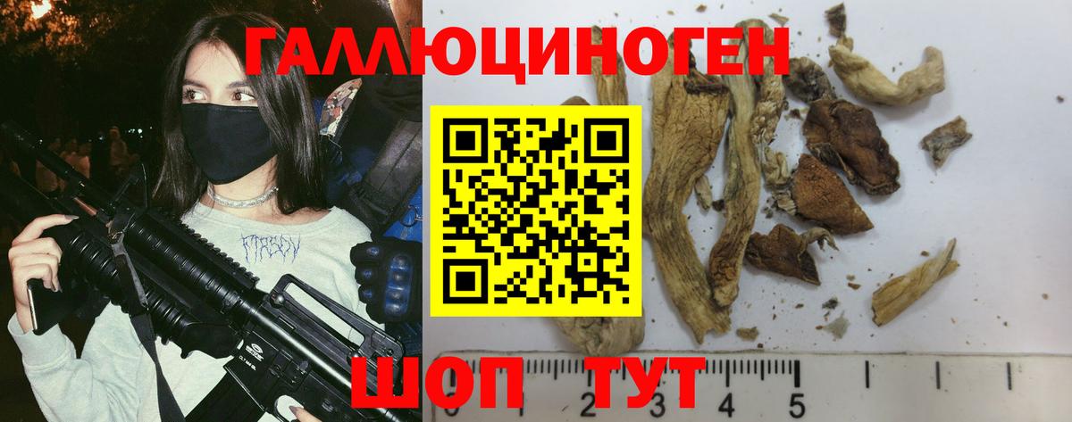 Галлюциногенные грибы Cubensis  Вход с VPN  Черногорск 