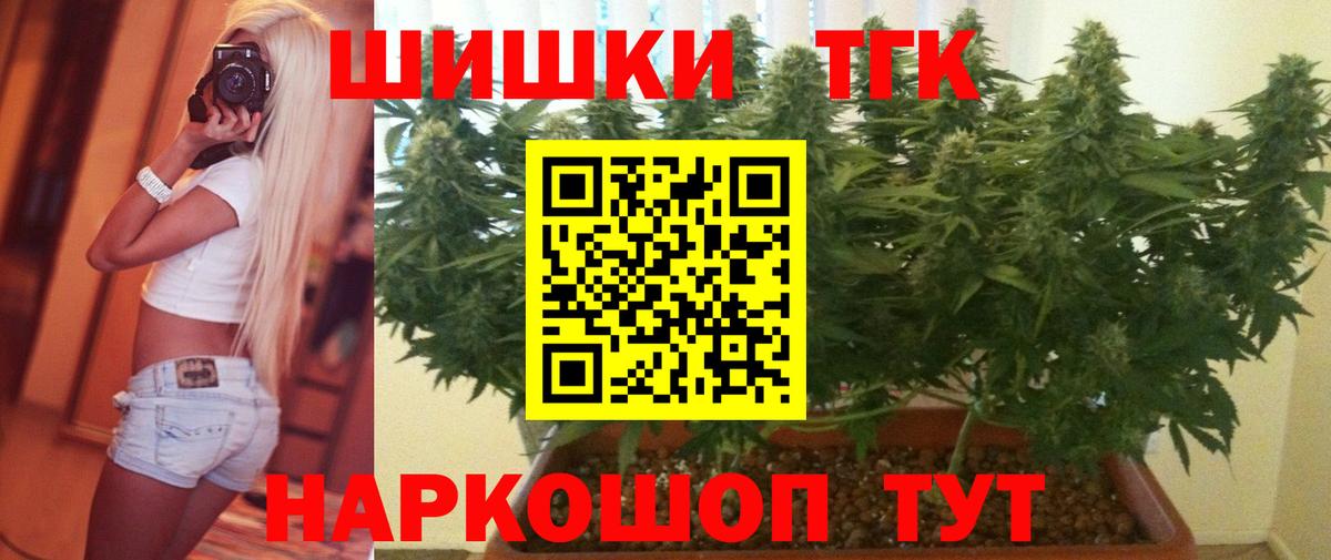 Конопля план Черногорск